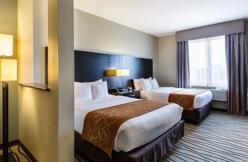 Chinatown Hotel | Comfort Suites near Westchase on Beltway 8