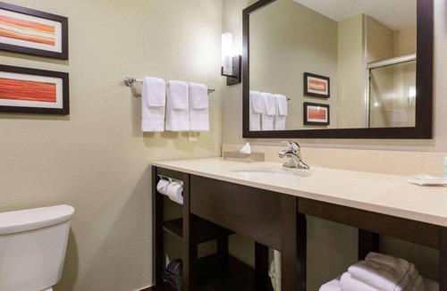 Chinatown Hotel | Comfort Suites near Westchase on Beltway 8