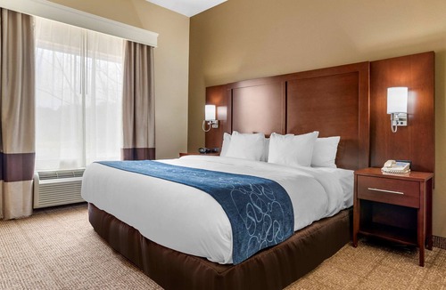 Niceville Hotel | Comfort Suites Niceville Near Elgin Air Force Base