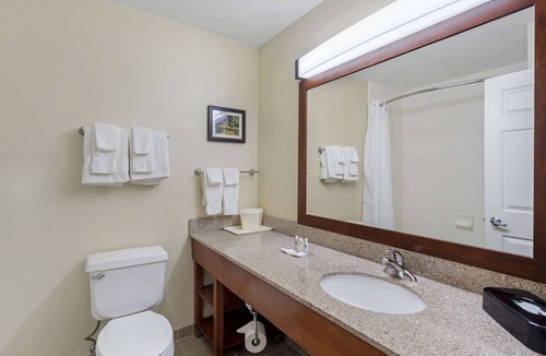 Normal Hotel | Comfort Suites Normal University area