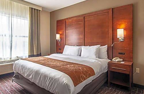 Northwest Dallas Hotel | Comfort Suites NW Dallas Near Love Field