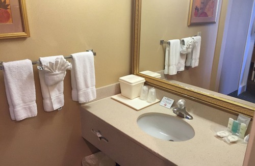 Oakbrook Terrace Hotel | Comfort Suites Oakbrook Terrace near Oakbrook Center