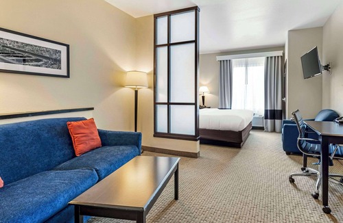 Palestine Hotel | Comfort Suites Palestine