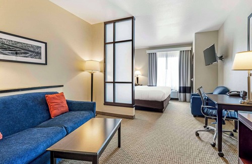 Palestine Hotel | Comfort Suites Palestine