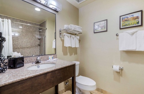 McNeil Hotel | Comfort Suites Pflugerville - Austin North
