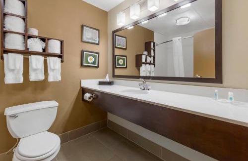 Cary Hotel | Comfort Suites Regency Park