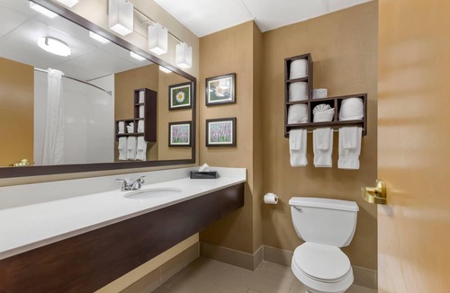 Cary Hotel | Comfort Suites Regency Park