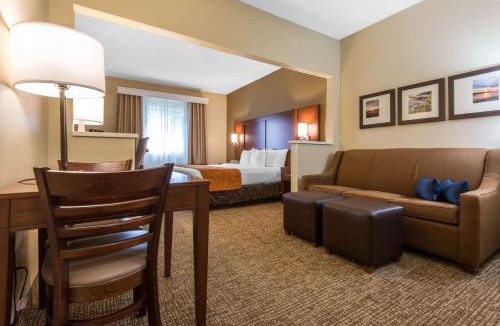 Rochester Hotel | Comfort Suites Rochester Henrietta University Area