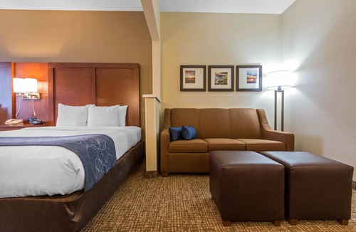 Rochester Hotel | Comfort Suites Rochester Henrietta University Area