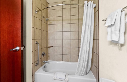 North San Antonio - SAT Hotel | Comfort Suites San Antonio North - Stone Oak