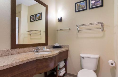 Saraland Hotel | Comfort Suites Saraland - North Mobile