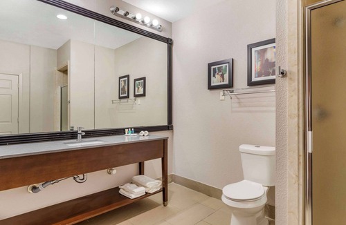 Shenandoah Hotel | Comfort Suites Shenandoah-The Woodlands