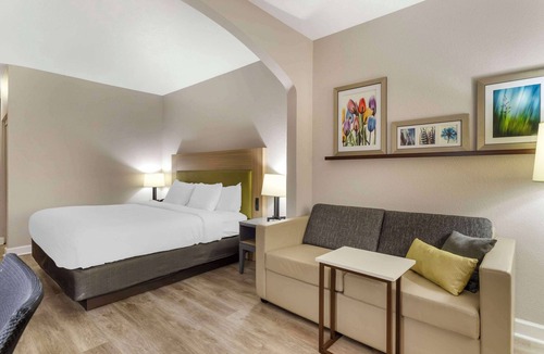 Shenandoah Hotel | Comfort Suites Shenandoah-The Woodlands