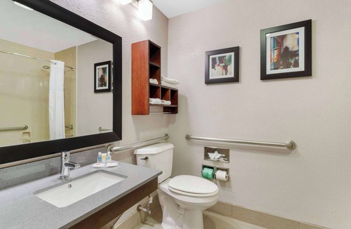 Shenandoah Hotel | Comfort Suites Shenandoah-The Woodlands