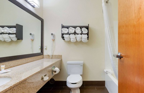 Stevensville Hotel | Comfort Suites Stevensville - St. Joseph
