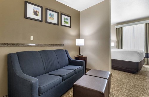 Waco Hotel | Comfort Suites Waco North - Near University Area