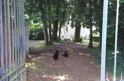 Juvigny-sous-Andaine Bed & Breakfast | Comfortable Bed & Breakfast between Bagnoles de l'Orne and Domfront.