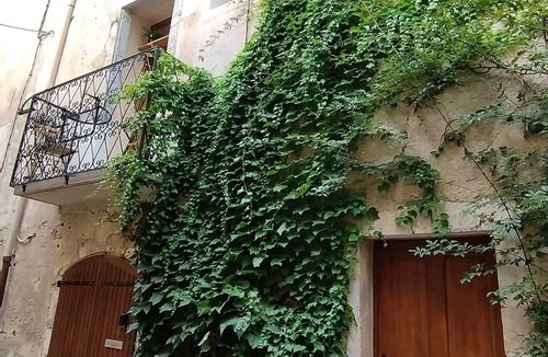 Saint-Jean-de-Bueges House | Comfortable village house with balcony