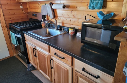 Osakis Cabin | Comfortable 2-bedroom cabin with Central AC/Heat in charming Osakis
