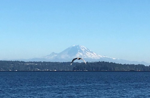 Brighton House | Comfortable 2 BR unit blocks from light Rail Train