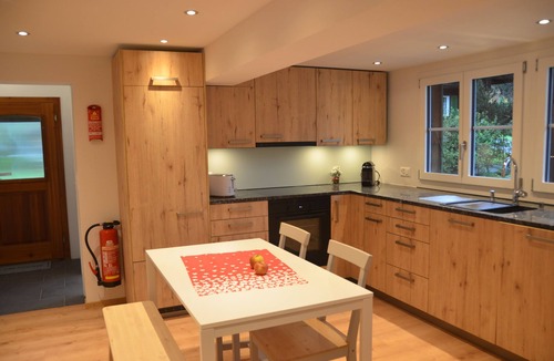 Grindelwald Ski Chalet | Comfortable 4-bedroom apartment near the mountain railroads
