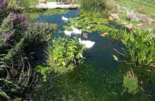 Saint-Maden House | Comfortable accommodation in French countryside on permaculture smallholding.