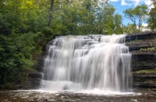 Blossvale Cabin | Comfortable and Welcoming Cabin!