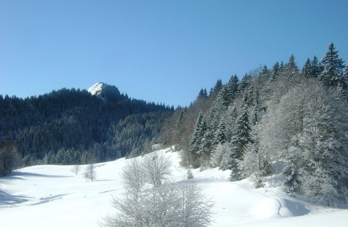 La Pesse Apartment | Comfortable apartment - CLEVACANCES- 2 clés (2 pers)