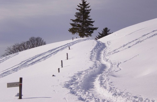 La Pesse Apartment | Comfortable apartment - CLEVACANCES- 2 clés (2 pers)