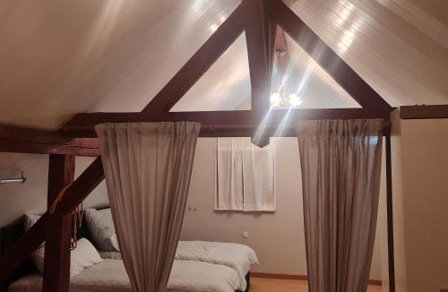 Beinheim Apartment | Comfortable Apartment