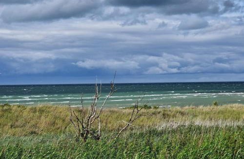 Fjellerup Strand House | Comfortable Cottage with Large Grounds - By Traum Ferienwohnungen