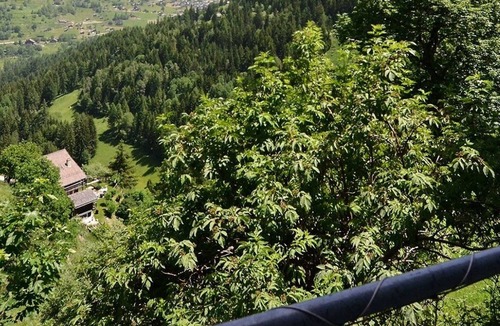 Grimentz Apartment | Comfortable flat for 2 to 4 people, living room with 1 double divan bed, kitchen area with dishwashe