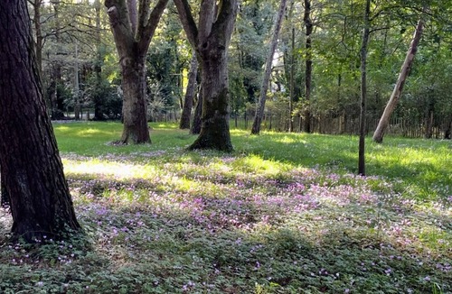 Suce-sur-Erdre Condo | Comfortable gîte, spacious garden with swimming pool, close to the Erdre river.