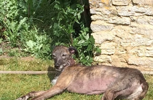 Tetbury Cottage | Comfortable home in lovely Cotswold village, Area of Outstanding Natural Beauty