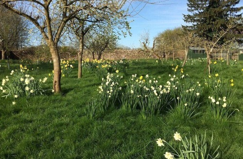 Tetbury Cottage | Comfortable home in lovely Cotswold village, Area of Outstanding Natural Beauty