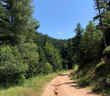 Arconsat House | Comfortable house