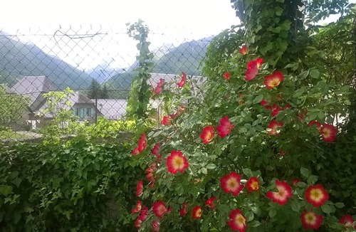 Aucun House | comfortable lodging facing mountain hiking cycling, cross-country skiing snowshoeing