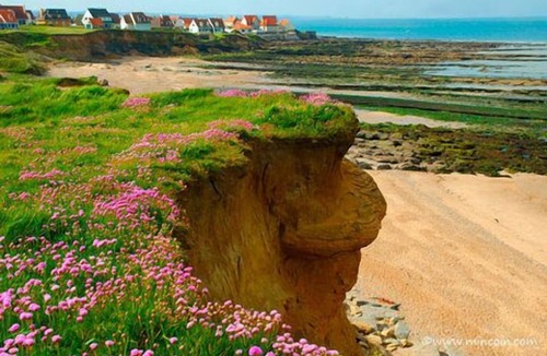 Audresselles House | Comfortable, quiet, 200m from the beach and the village center
