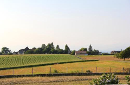 Bevaix Apartment | Comfortable studio in Bevaix with mountain view - 30 m² + Spa