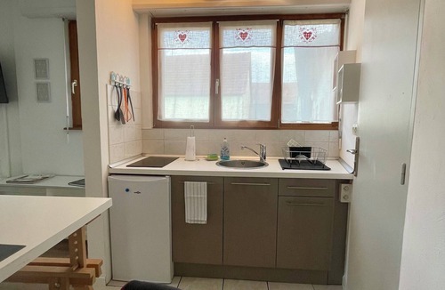 Rhinau Apartment | Comfortable studio near Europapark