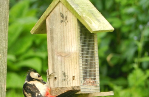 Hereford Cabin | Comfy 4m -Bed Bell Tent with great views