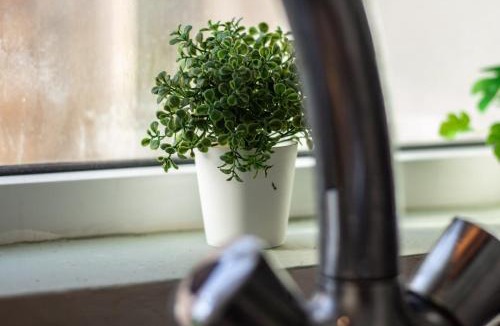 Preston Apartment | Comfy Central Wembley Studio