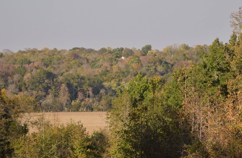 Clarksville Cabin | Comfy, Cozy Secluded Cabin !
