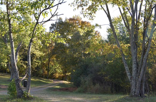 Clarksville Cabin | Comfy, Cozy Secluded Cabin !