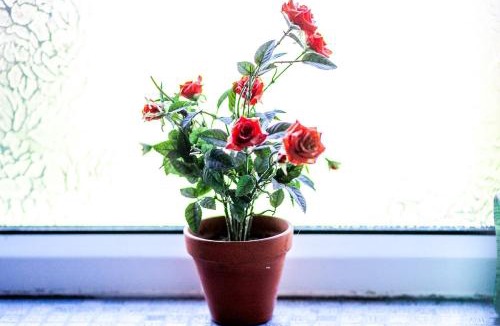 Seisdon House | Comfy Home-Vimy Road