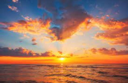 Elk Grove House | Comfy house