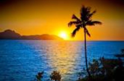 Elk Grove House | Comfy house