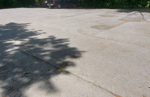 Auburn House | Comfy studio apartment on 2nd floor, pet friendly