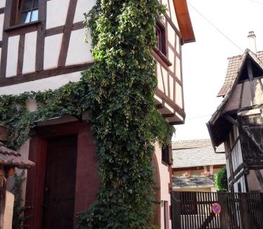 Bouxwiller Apartment | Comme une tour dans le centre Historique