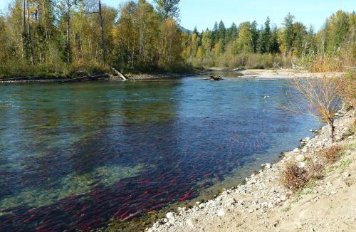 Riggins Hot Springs Hotel | Community at Riggins Hot Springs